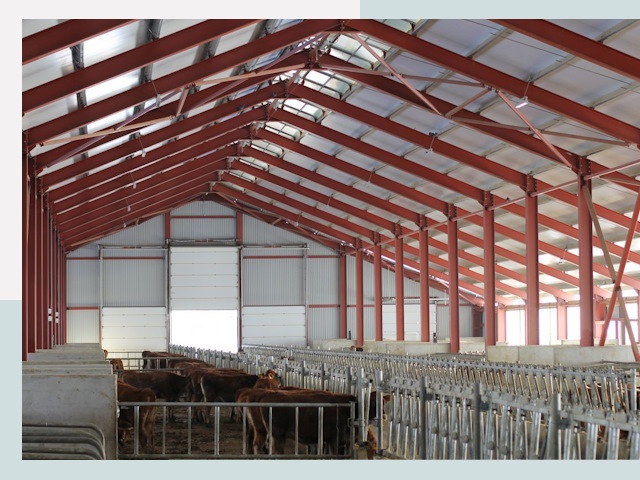 Строительство коровников в Набережных Челнах