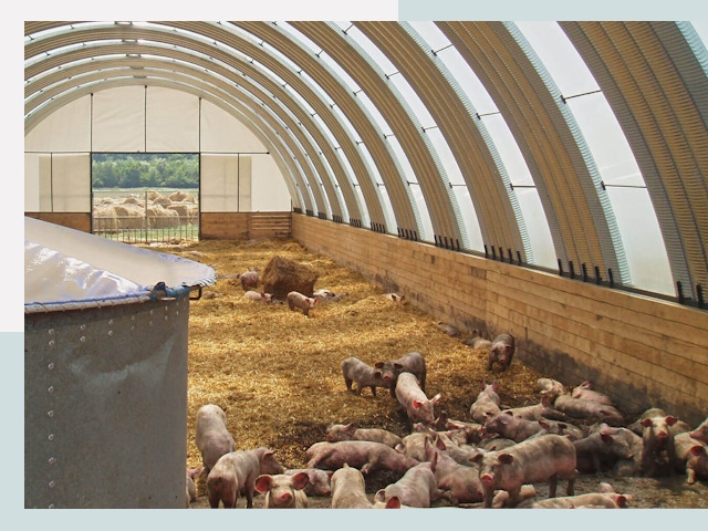 Строительство свинарников в Набережных Челнах