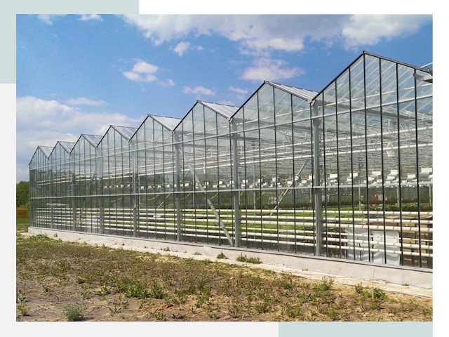 Строительство теплиц в Набережные Челны от 609 руб. за м²